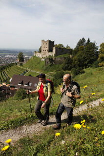 Schauenburg Oberkirch
