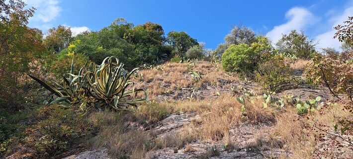 Fotó a Cordu Breitinger honlapról a túra során