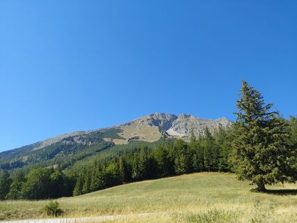 Photo de Florian Mandl 2 le long du parcours