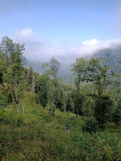 Foto från Florian Endres under resans gång