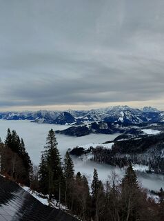 Foto von Susanne entlang der Tour