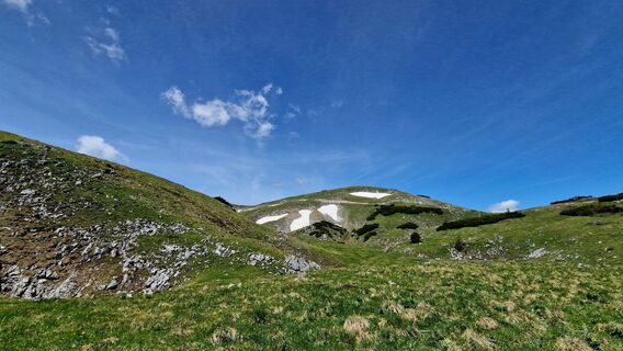 Photo de EP87 le long du parcours