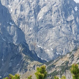 Fotografie z garrincha na trase