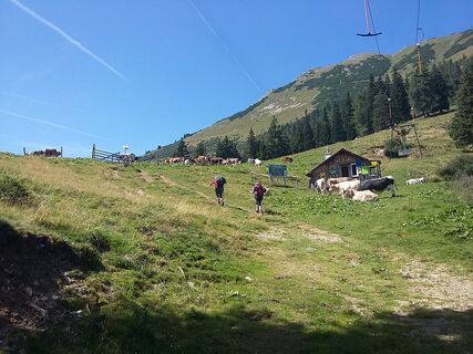 Kurz vor der Abzweigung des Wanderweges zum Graf meran Haus