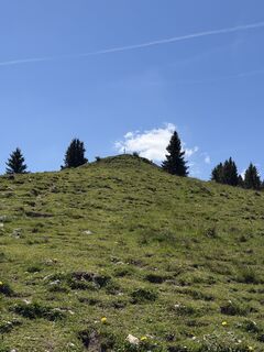 Foto von webwolf67 entlang der Tour