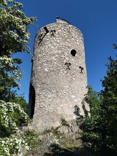 Foto von Poschacher entlang der Tour