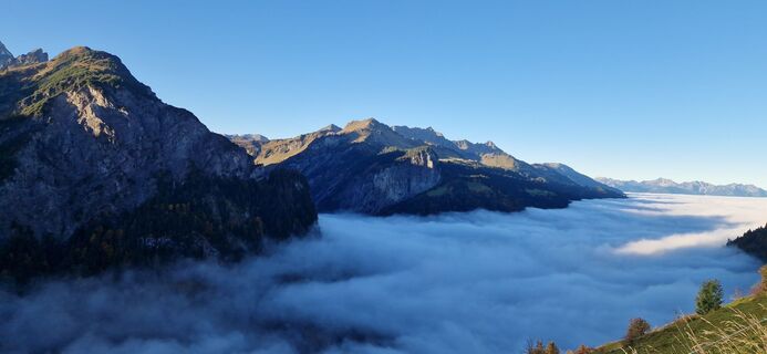 Fotografija s spletne strani Thomas Martin na poti