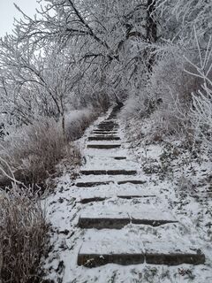 Fotografie z Felix na trase