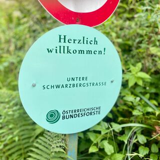 Duftkreuztrail Kleinkohlergraben