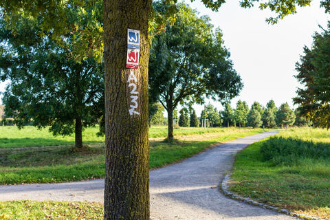 Markierungsschilder an Baum