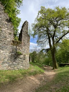 Foto da Arthur Muskalla lungo il tour