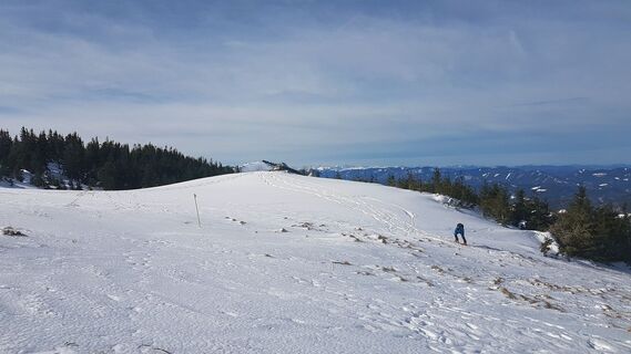 Aufstieg über Hang auf den Hüttenkogel