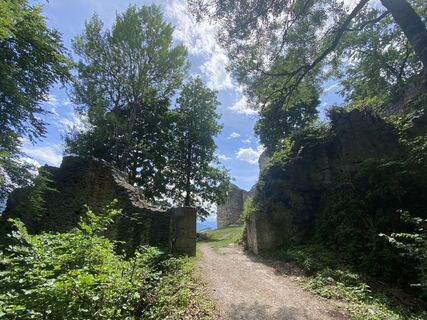 Zdjęcie z Friedrich Schlager wzdłuż trasy