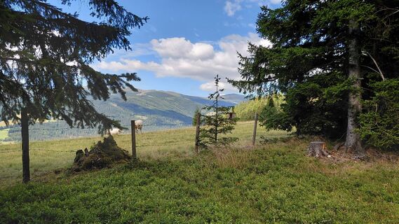 Foto von Wolfgang Arlic 1 entlang der Tour