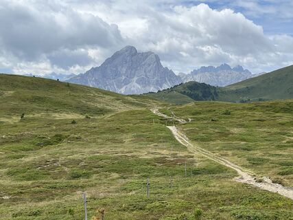 Foto från Stefan Otto under resans gång