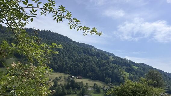 Foto von Mountain Cat ? ⛰️ entlang der Tour