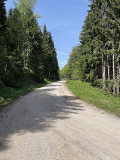 Zemljevid