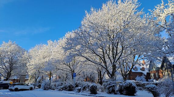 Zdjęcie z Friedrich Rebenstorf wzdłuż trasy