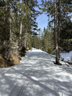 Foto von Heikoala entlang der Tour