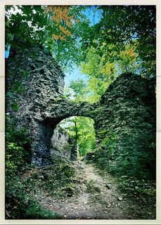 Photo de Weidenbaum le long du parcours