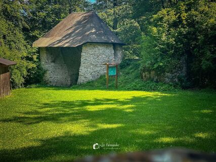Fotografija s spletne strani Leo Fahrngruber na poti