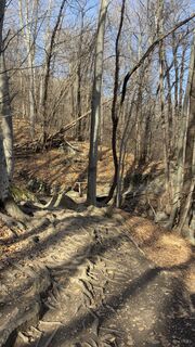 Foto von Peter Burki entlang der Tour