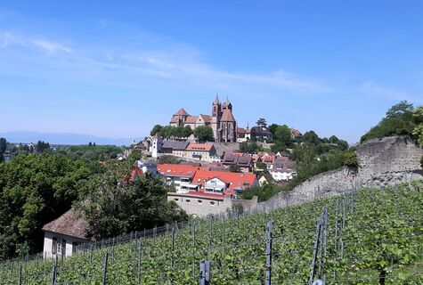 Eckartsberg im Frühling Breisach-Touristik
