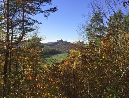 Wartburgblick von der Louise Bornemann-Bank im Johannistal