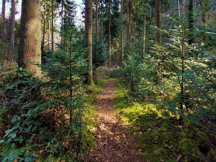 Auf idyllischen Pfaden rund um Calw