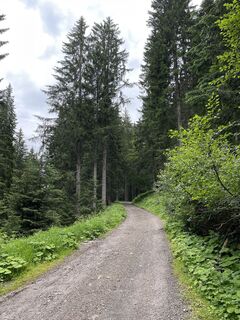 Foto von Heinz Sperl entlang der Tour