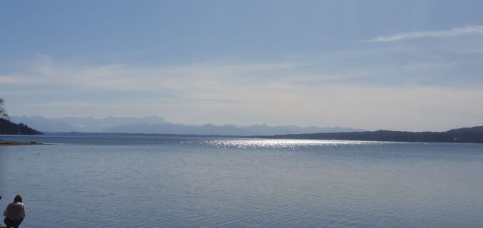 Photo de garrincha le long du parcours