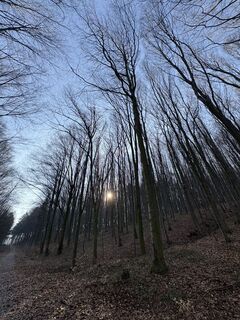 Foto de SanDyd a lo largo del recorrido