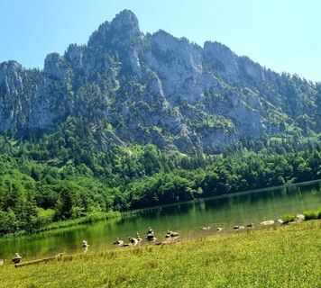 Fotografie z Veronika Strauss na trase