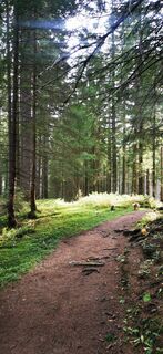 Kuva osoitteesta Klaus Lehner matkan varrella