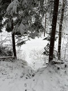 Foto von FriluftslivGoat entlang der Tour