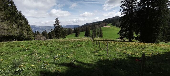 Foto von Ralf Schwaninger entlang der Tour