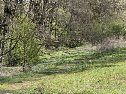 Photo de Frank Neumann le long du parcours