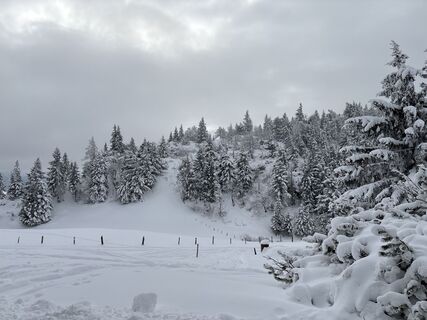 Фото с сайта Heinz Sperl во время экскурсии