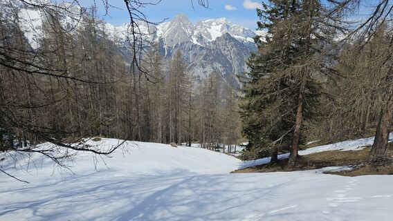 Fotografija s spletne strani kriessda na poti