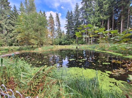 Fotografija s spletne strani Isabella Peinsold-Klammer na poti