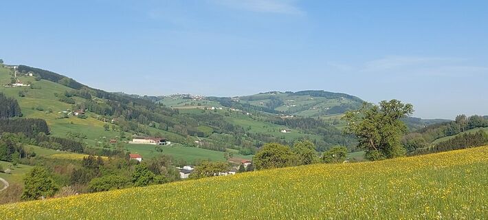 Fotografija s spletne strani Klaus Gruber 3 na poti