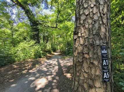 Wanderwege im Hövelhofer Forst 