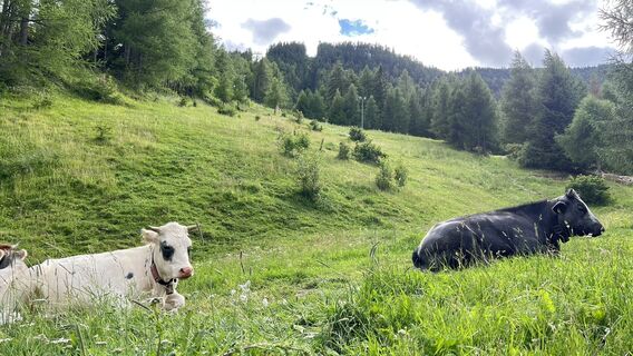 Foto von Marcel Zurkirchen entlang der Tour