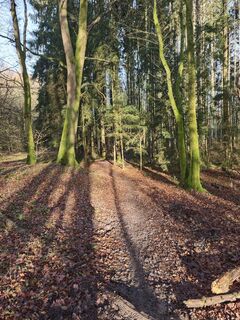 Fotografia z Björn Heun na trase