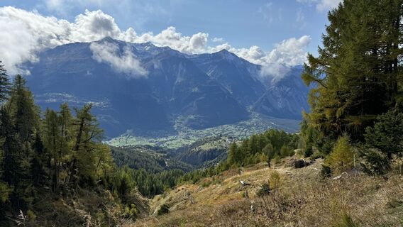 Fotografija s spletne strani peter_oe na poti