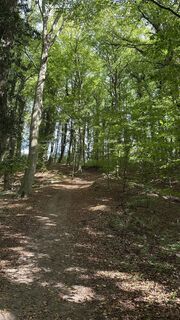Zdjęcie z DraussenZuHause_66 wzdłuż trasy
