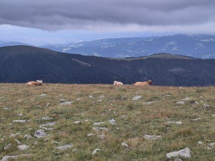 Foto da El_Gamso lungo il tour