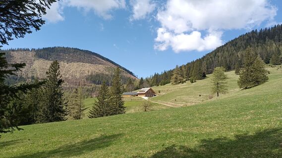 Foto von Bergpirat entlang der Tour