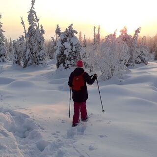 Schneeschuhwanderer am Sallatunturi