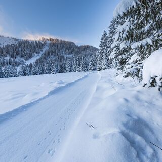 Winterwandern Richtung Prodalp